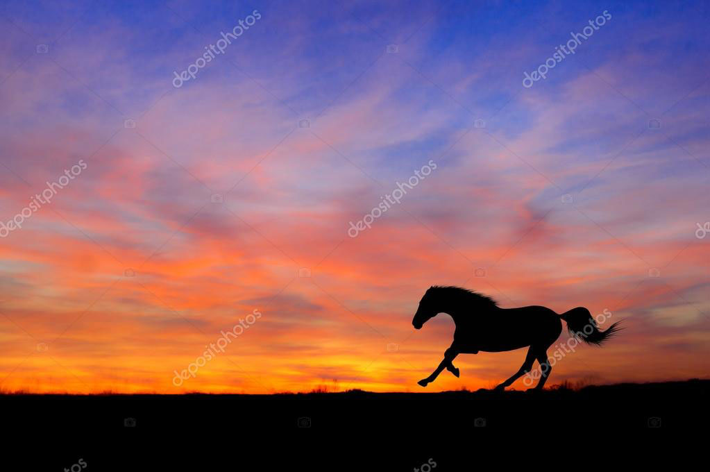Horse silhouette galloping at sunset with colorful sky.